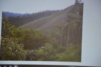 dsc 4323 (kopiowanie)